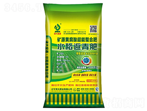 �VԴ�S����ˮ�������20-0-0-���ʢԴ