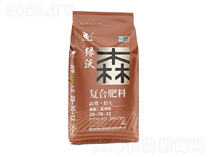 ���������͏�(f��)�Ϸ���28-10-12-�G��ɭ