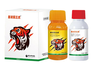 ���ݽM�����b-���Z������-�Z����