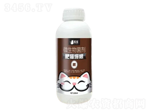 ΢�������-��؈����-��؈�r�I(y��)