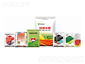 ���ײ��x(ch��ng)����Q����-�����