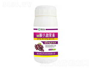 ��������n����-�㘷�r(n��ng)�I(y��)