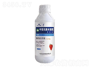 �ж���}�VҺ�w�ͺϷ���-���_����