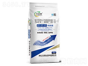 ������ͺϷ���17-17-17-�f�S�R-�Dؐ