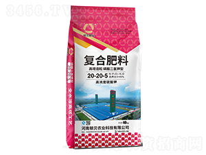 �����������������͏�(f��)�Ϸ���20-20-5-�Dؐ�ʘI(y��)