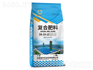 �����������������͏�(f��)�Ϸ���28-10-13-�Dؐ�ʘI(y��)