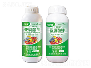 �|̦�߼��������0-528-340-�|�̿�-���Z�ʘI(y��)