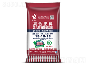 ���ֲ�����Ϸ�18-18-18-���ʢԴ