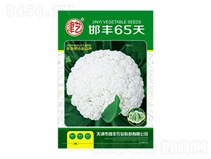 ���˷N��-���S65��-���S�r(n��ng)�I(y��)