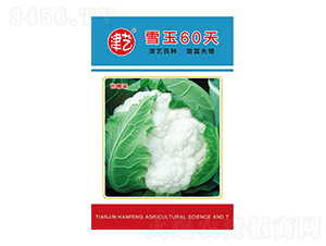 ���˷N��-ѩ��60��-���S�r(n��ng)�I(y��)