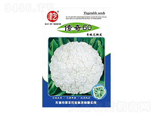 ���˷N��-����60-���S�r(n��ng)�I(y��)