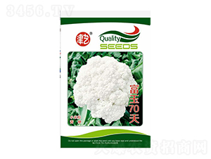 ���˷N��-����70��-���S�r(n��ng)�I(y��)