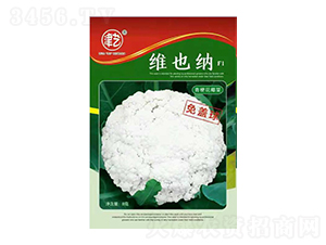 ���˷N��-�SҲ�{-���S�r(n��ng)�I(y��)