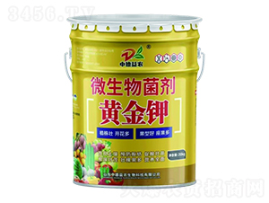 �S���-�е����r(n��ng)