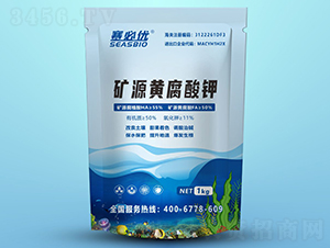 �VԴ�S�����-ِ�؃�(y��u)