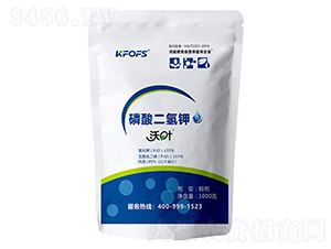 ���~��������-����ʩ