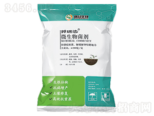 ��ʩ��΢�������-�����_-�������