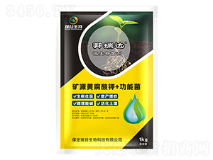 �VԴ�S�����+���ܾ�-�����_-�������