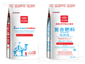 �ͺϷ���16-16-16-�Ű�