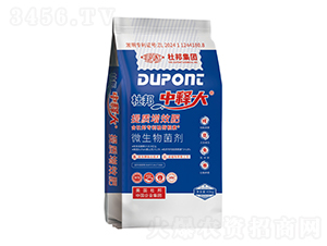 ���|(zh��)��Ч��-��ጴ�-�Ű�