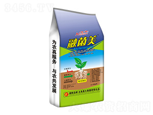 �ھ���-�����r(n��ng)��