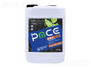 ��������̎���l(w��i)ʿ-�����l(w��i)-����˹