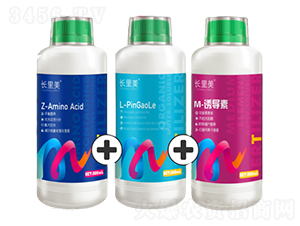 �L����(Z+L+M)-����֮�G