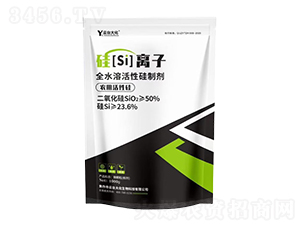 ��[si]�x��-���_(t��i)��