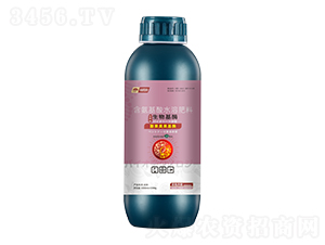 膨果美果基酶-云臺大化