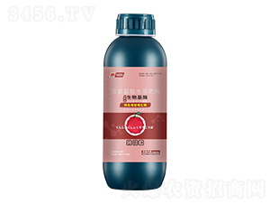 �D(zhu��n)ɫ�������tø-���_��