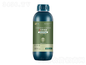 �����o������ø-���_��