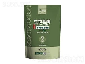 �����o������ø500g-���_��