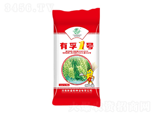 小麥種子-有孚1號-新盛和種業(yè)