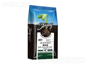 ΢�������-������-������