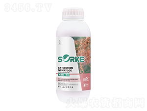 ľ�|(zh��)�ᡤ�^��-ʩ�ֿ�