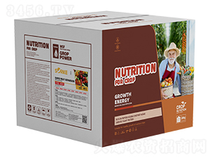 ľ�|(zh��)�ᡤ�����-ʩ�ֿ�