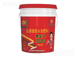 ����ֲ��ˮ�ܷ���-�ڽ���-�ƹ�ʯ