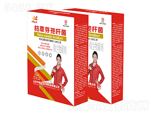 �ݲ�ѿ�ߗU��-�ƹ�ʯ