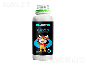 ��ς�����-�����_