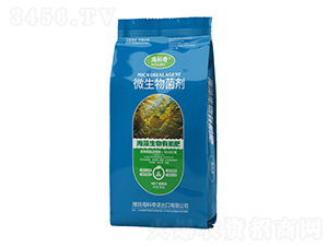 ���������ЙC��-������