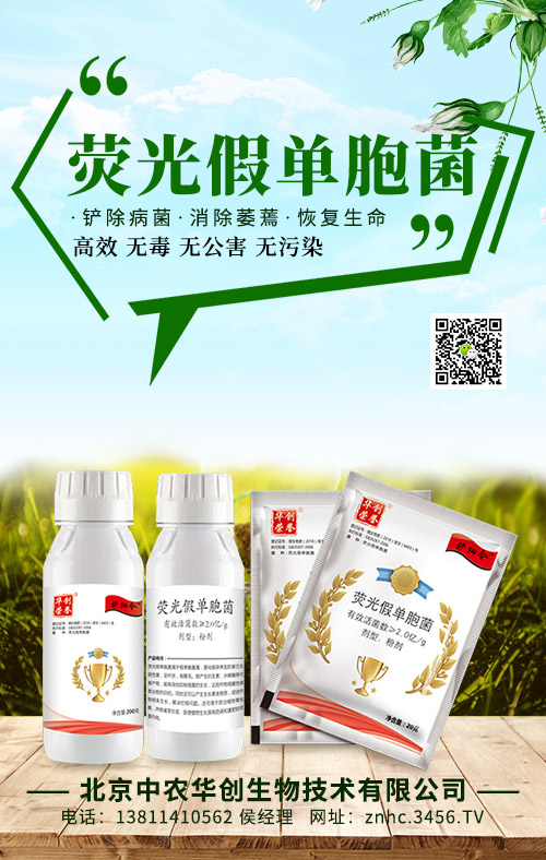 �ɹ�نΰ������r�A��(chu��ng)